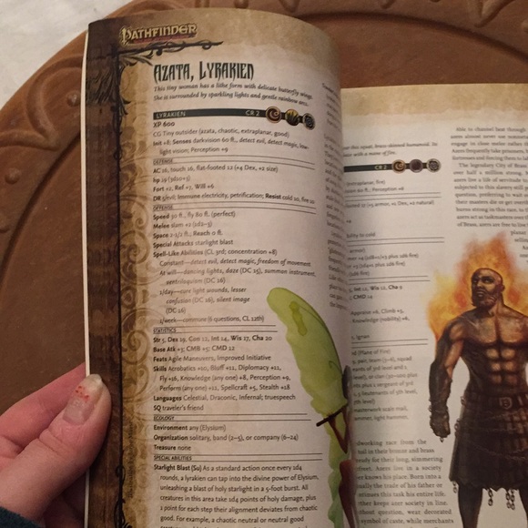 Pathfinder roleplaying game book #1 - Picture 16 of 17